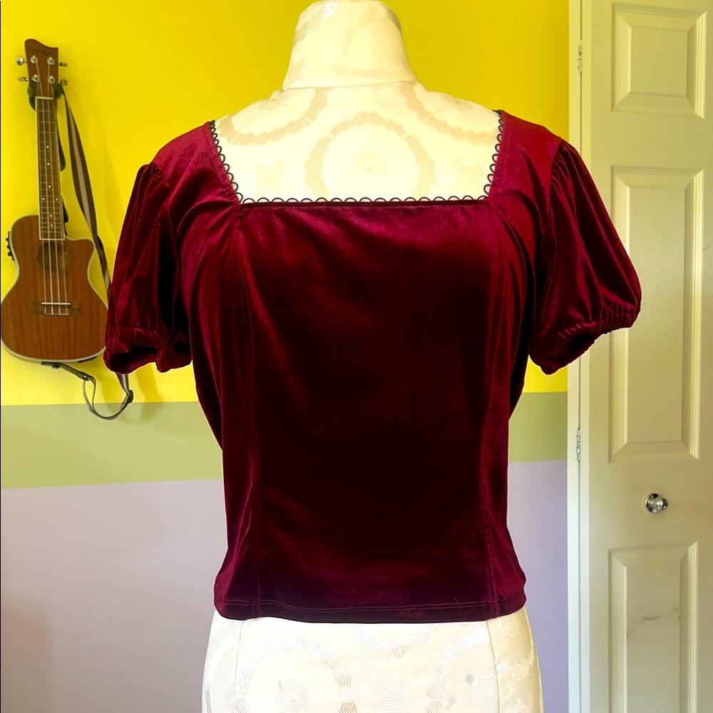 Burgundy Velvet Top